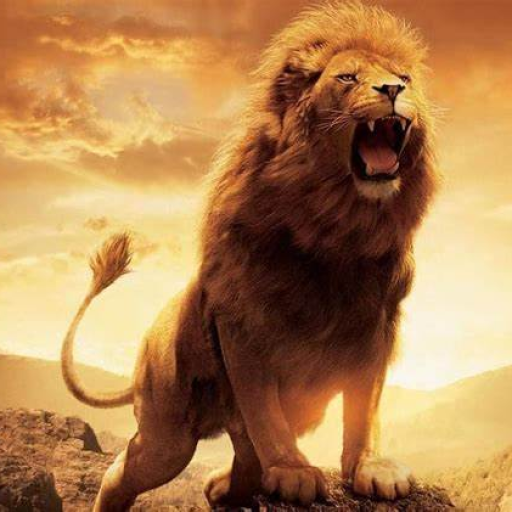 Profile picture of user IKROMXO'JAYEV KOMILXON