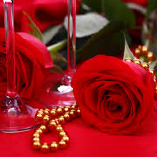 Profile picture of user abduvohidjonova oyshajon