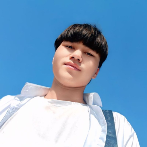 Profile picture of user Sarvar Boymirzayev