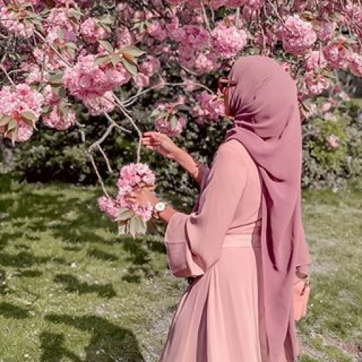 Profile picture of user Beshimova Chinor