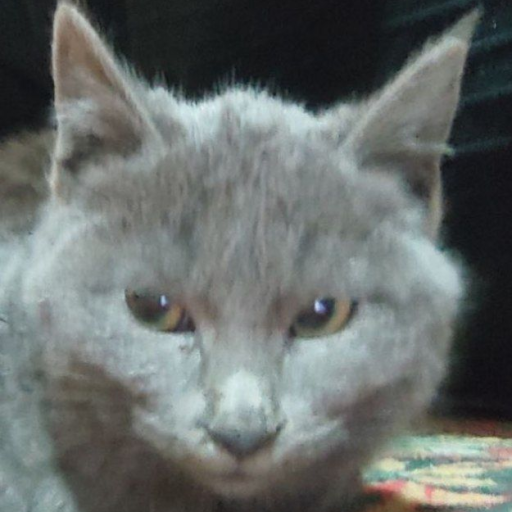 Profile picture of user Abduraxmon