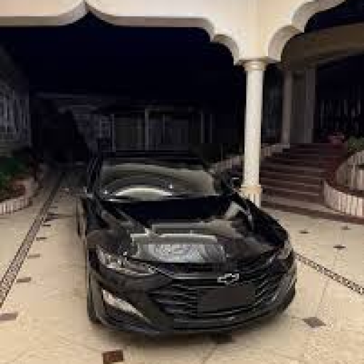 Profile picture of user Loxiev Boqmurod