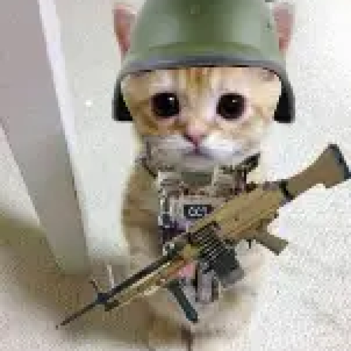 Profile picture of user Army MEOW