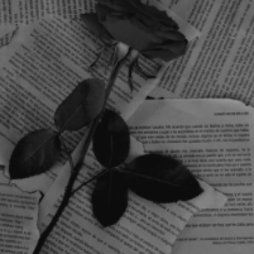 Profile picture of user Mo'minabibi Olimjonova