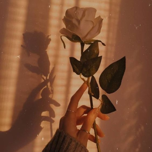 Profile picture of user Mo'minabibi Olimjonova