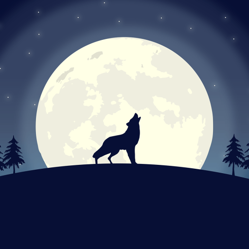 Profile picture of user Sardor