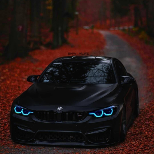 Profile picture of user Naimov Temurbek