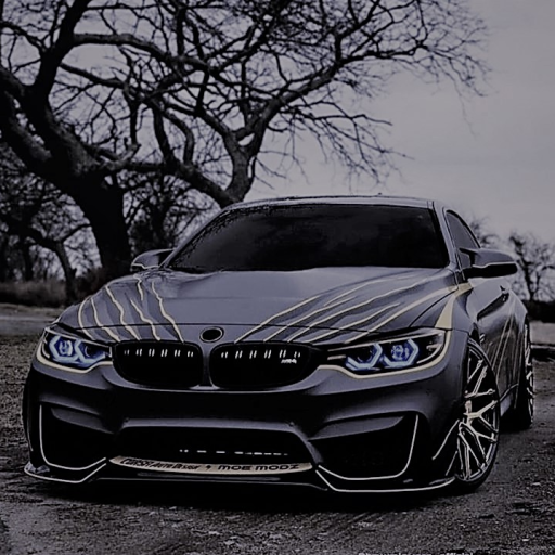 Profile picture of user Murodjon Valijonov