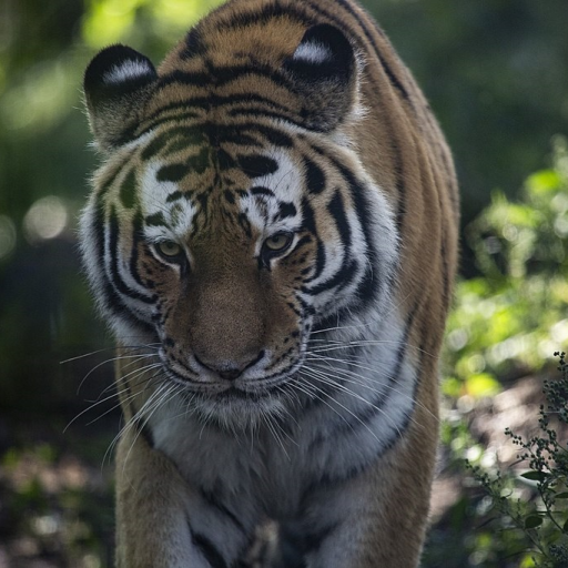 Profile picture of user Abdulxakimov Diyorbek