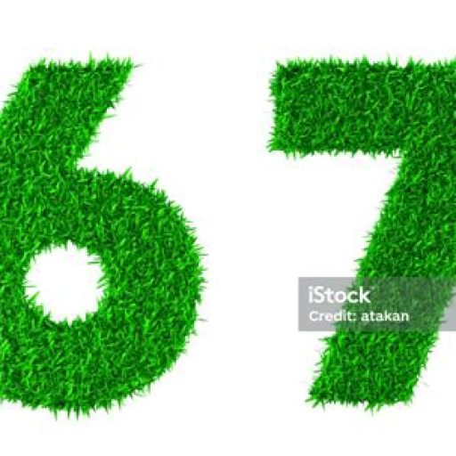 Profile picture of user 67 67