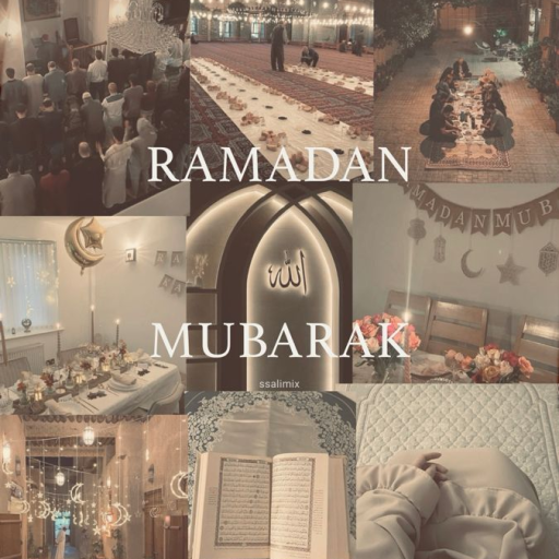 Profile picture of user Mohinur Baxtiyorova