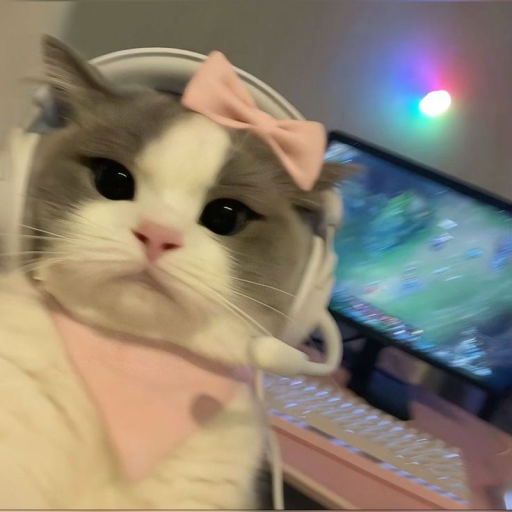 Profile picture of user Usmonova Umida