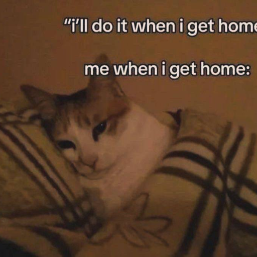 Profile picture of user Rayxona