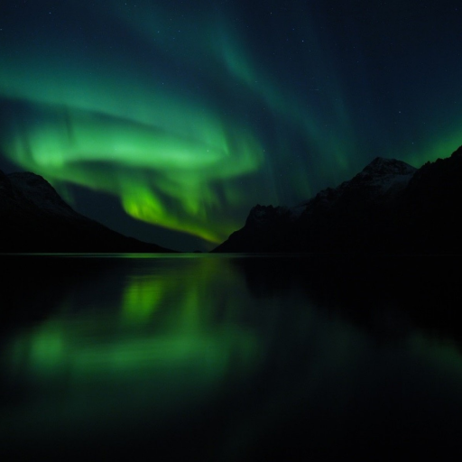 Profile picture of user Baratbek  Botirov