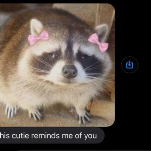 Profile picture of user Tojialiyeva Orasta