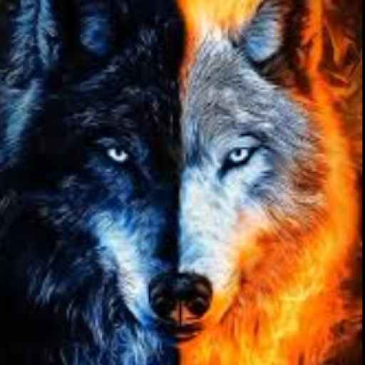 Profile picture of user G'ulomov Shohrux