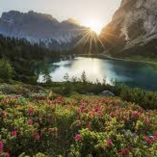 Profile picture of user Tojiddinov Omadbek