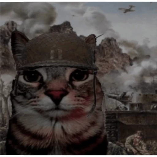 Profile picture of user Asadbek  Abdulboqiyev