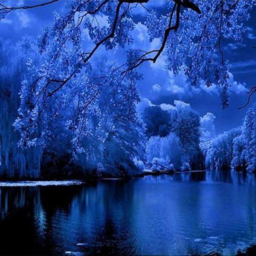 Profile picture of user nurmuhammadov ulugbek