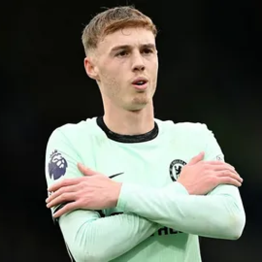 Profile picture of user Samandar Oqilov