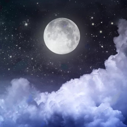 Profile picture of user Ravshanbekov Muhammadaziz