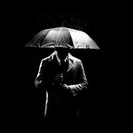 Profile picture of user shxrtv