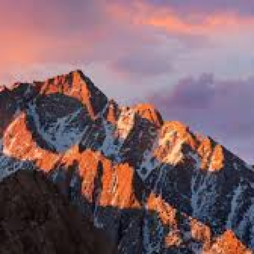 Profile picture of user Avazmetov Arslonbek