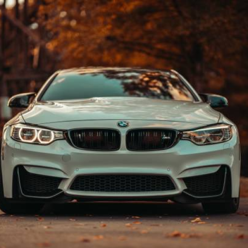 Profile picture of user Abduxalilova Durdona