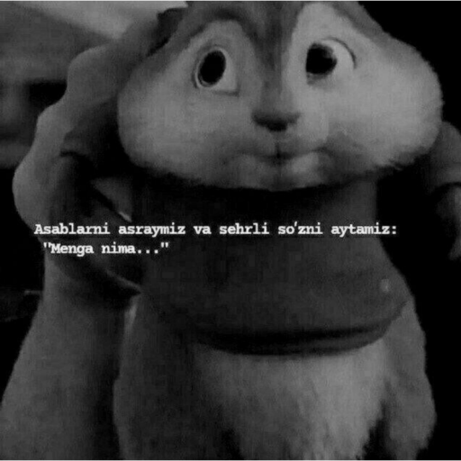 Profile picture of user Kurbonova Nodira