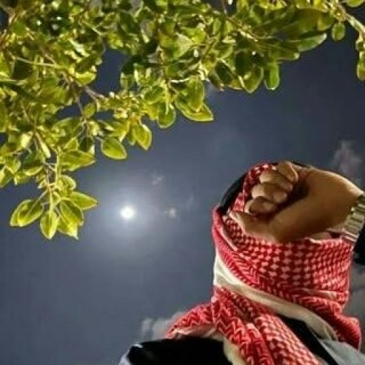 Profile picture of user Diyorbek Axmedjanov