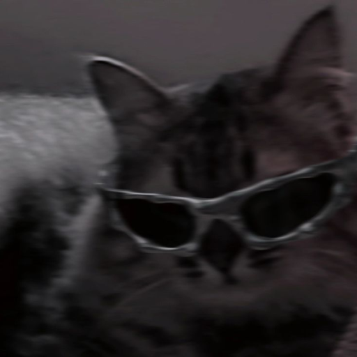 Profile picture of user Sezrr