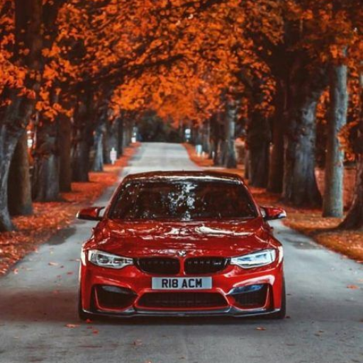 Profile picture of user Ali Axmedov