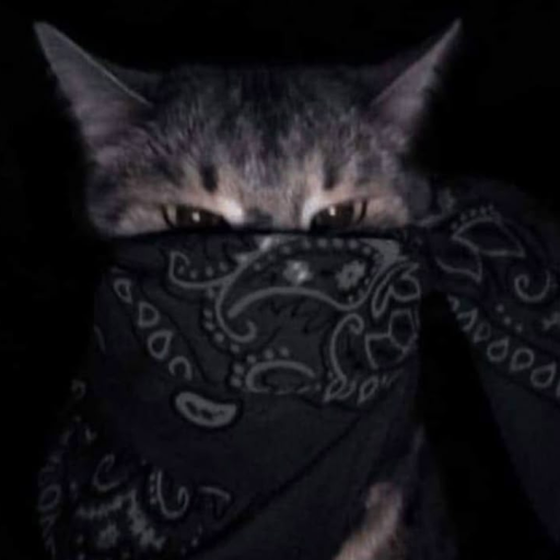 Profile picture of user 50 cent