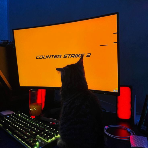 Profile picture of user Eminem