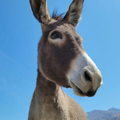 Profile picture of user Familiyayev Ism