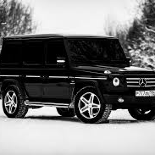 Profile picture of user CHORIYEV RUSLANBEK