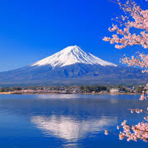 Profile picture of user ikromjon