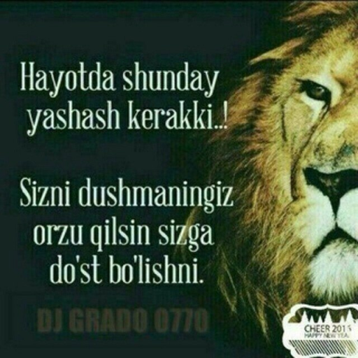 Profile picture of user Qarshiboyev Abror