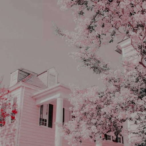 Profile picture of user Hasanova Maxfirat