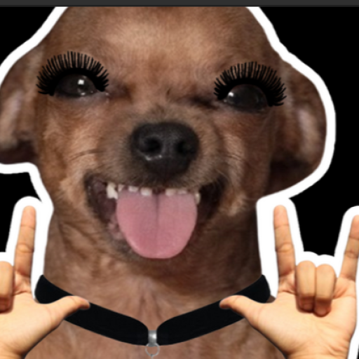 Profile picture of user Xushnudbek Rustamov