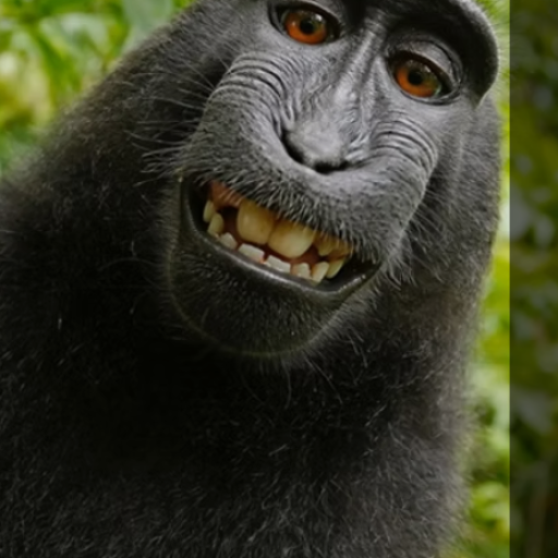 Profile picture of user Qilichev Fazliddin