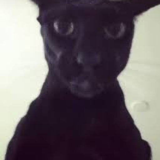 Profile picture of user Qilichev Fazliddin