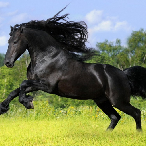 Profile picture of user Jahongir Abdumannonov