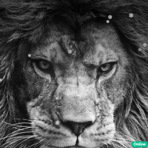 Profile picture of user AXTEMOV BEHRUZ