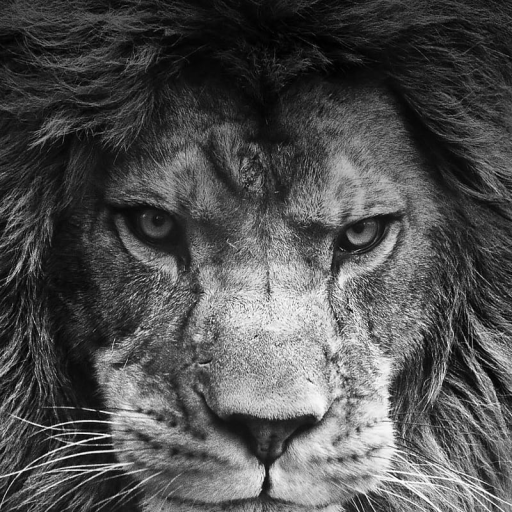 Profile picture of user AXTEMOV BEHRUZ