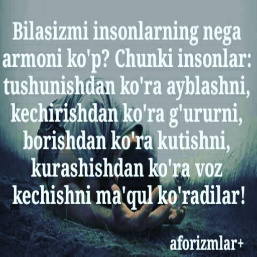 Profile picture of user Nuriddin