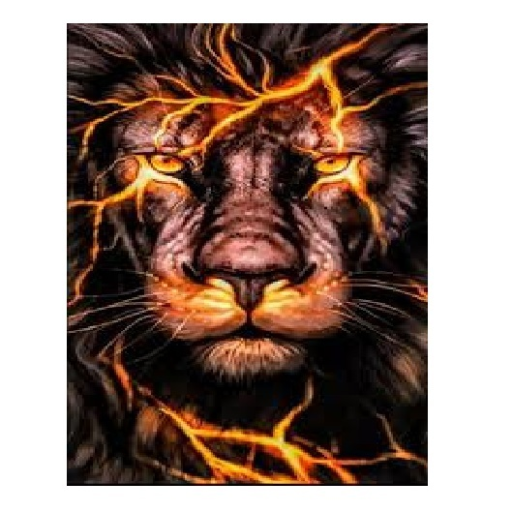 Profile picture of user AbdumajidMiraliyev