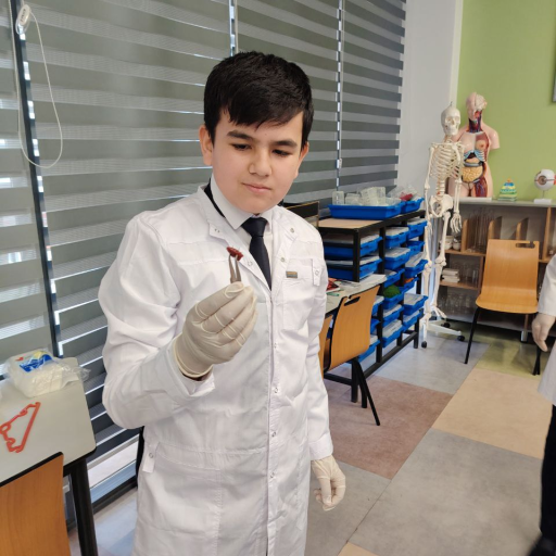 Profile picture of user Bayramov Kamronbek