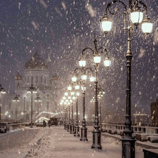 Profile picture of user Munisakhon Mahamadaliyeva