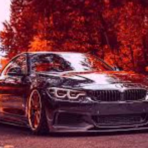 Profile picture of user Muhammadrasul_o7_77